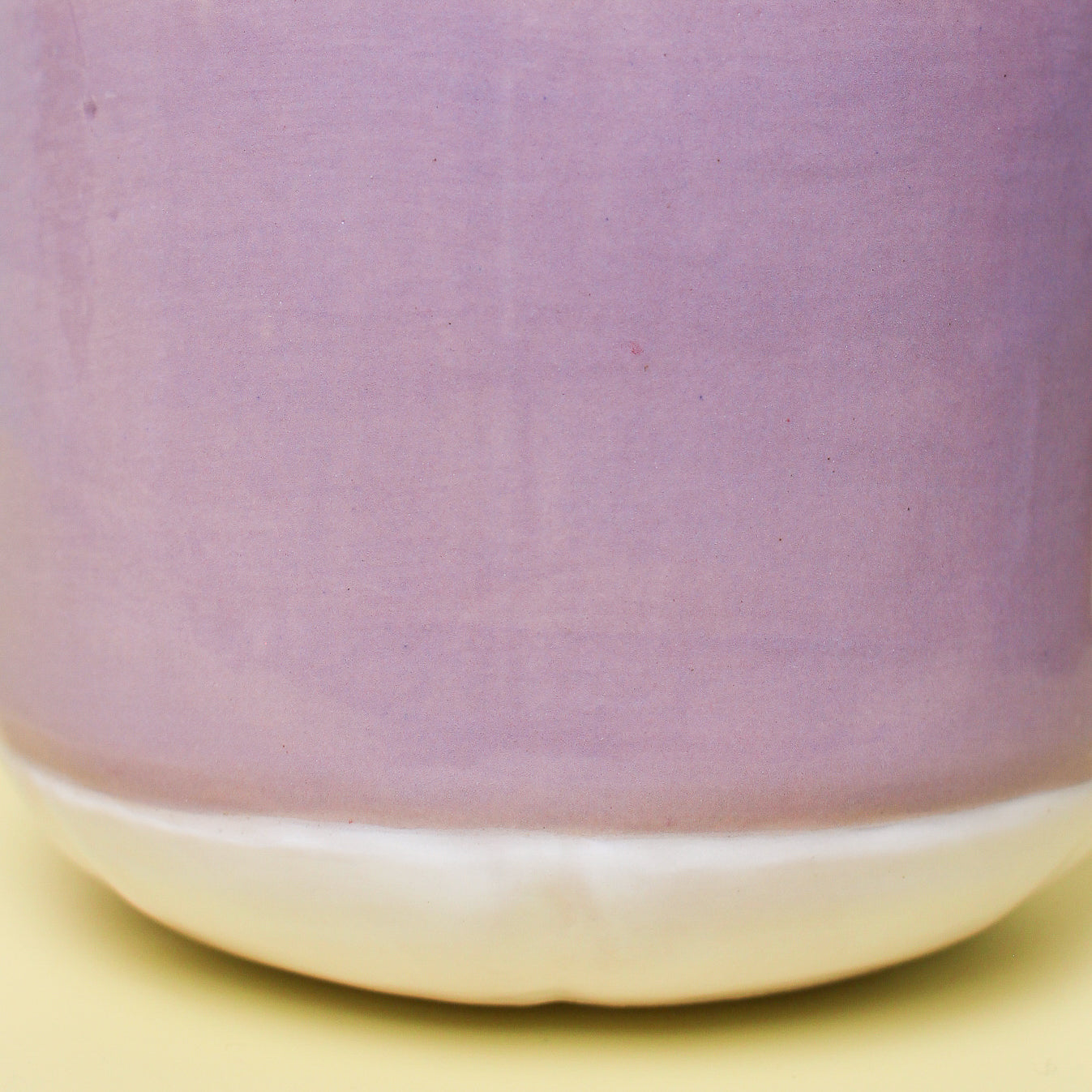 MANGOSTEEN CAT #3
