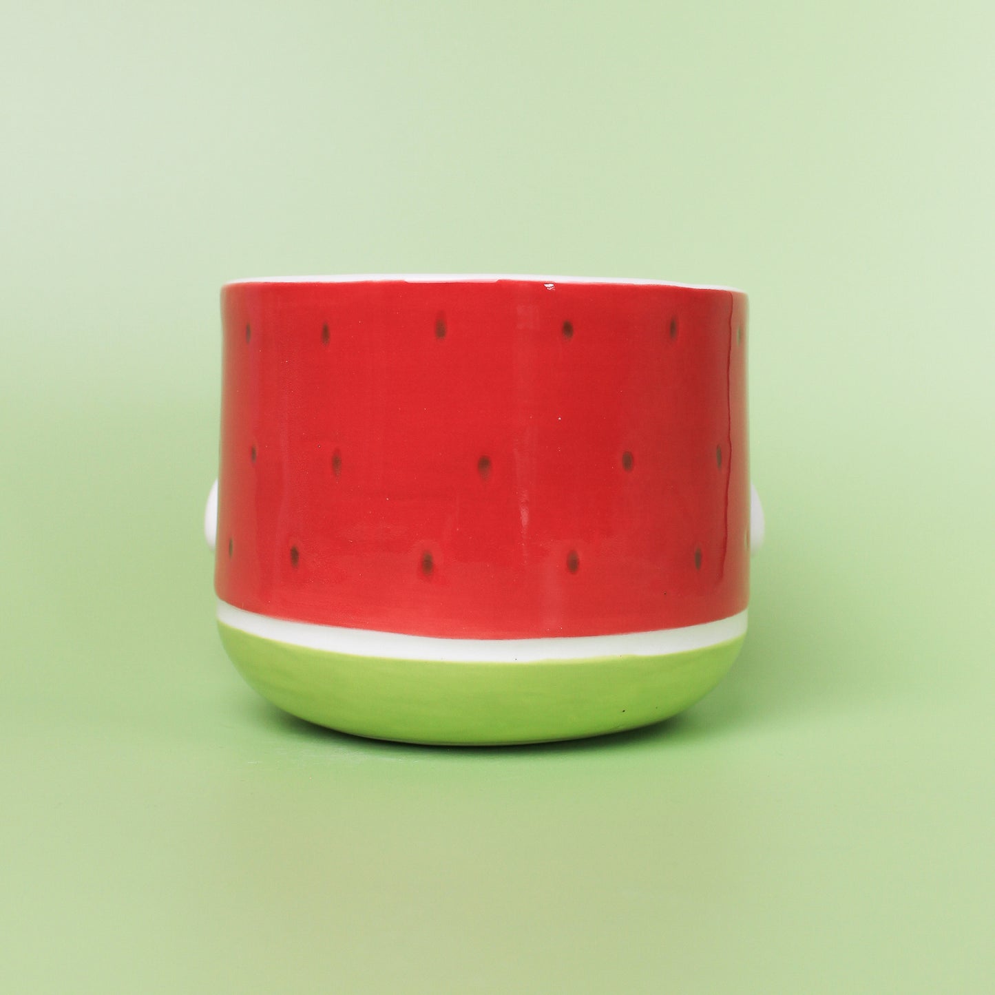 WATERMELON DUCK PLANTER #1