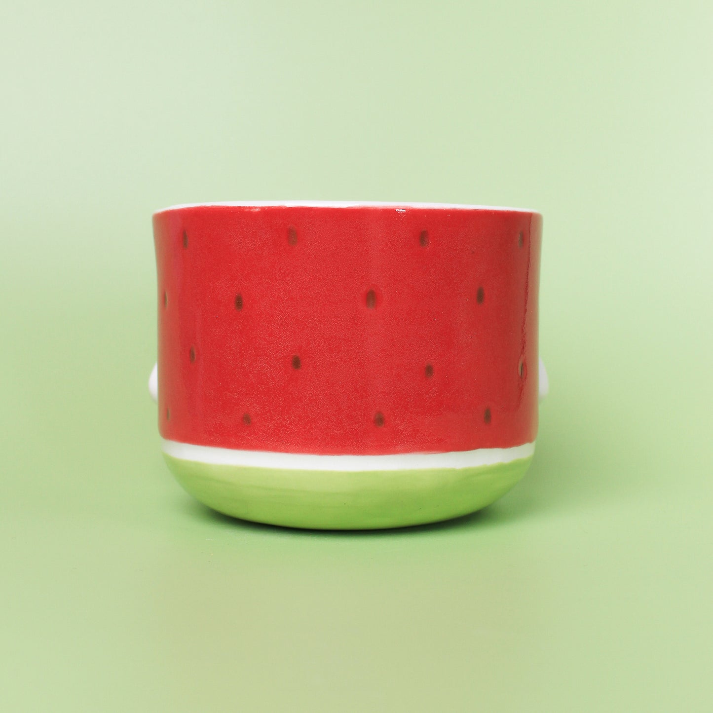 WATERMELON DUCK PLANTER #2
