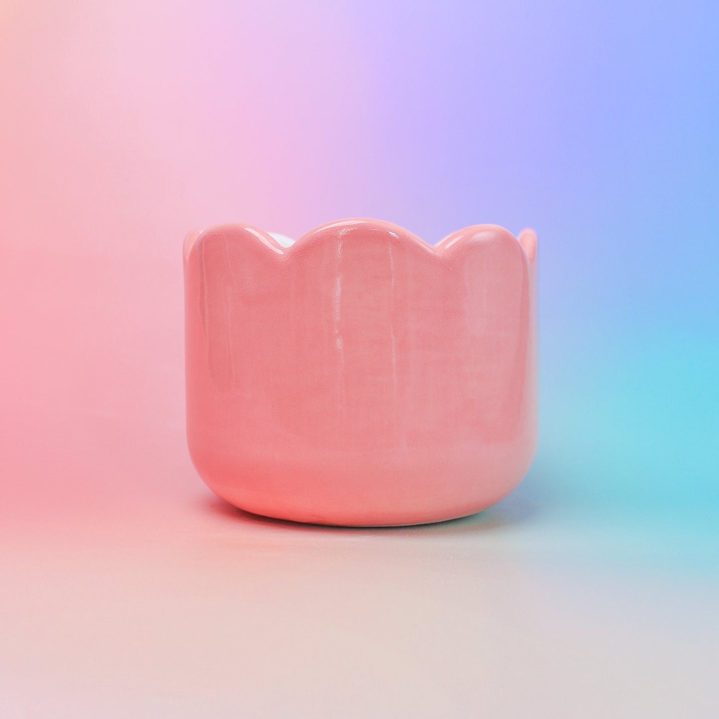 TULIP PLANT POT/BOWL