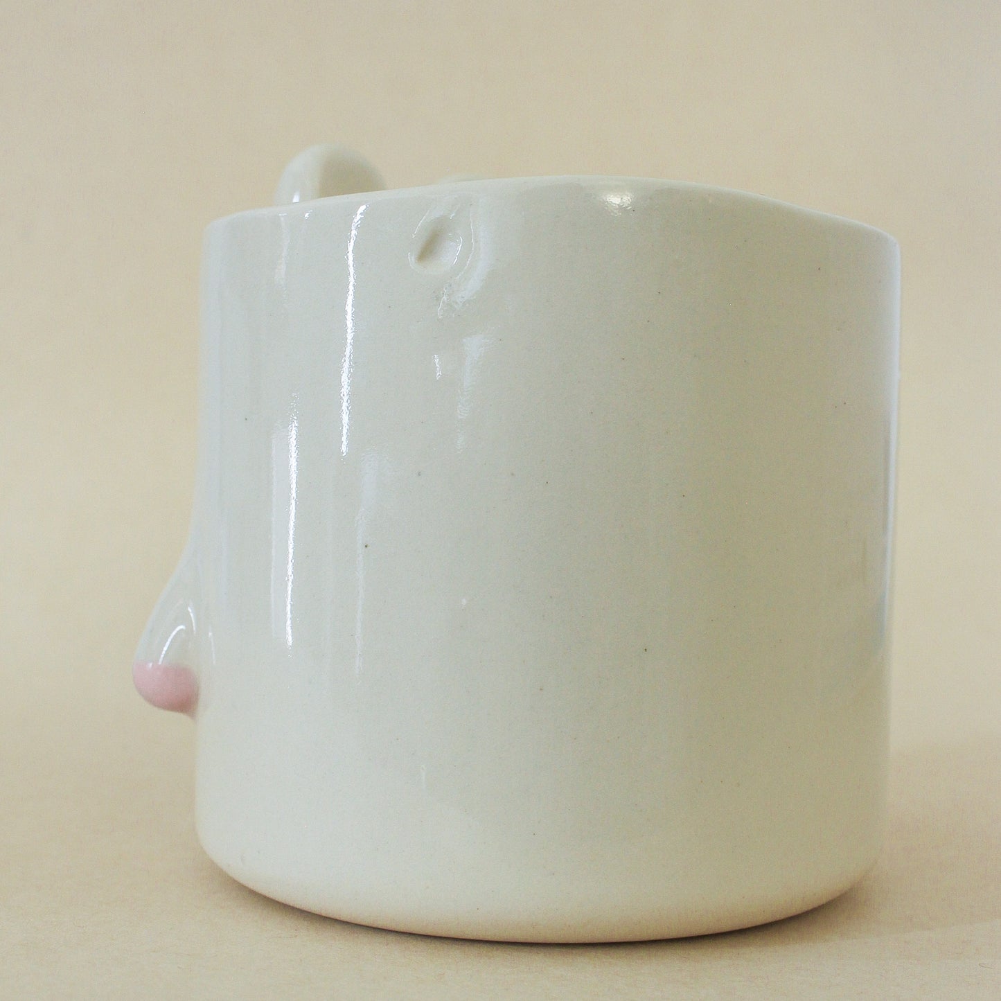 SNOWBALL - BUNNY PLANT POT