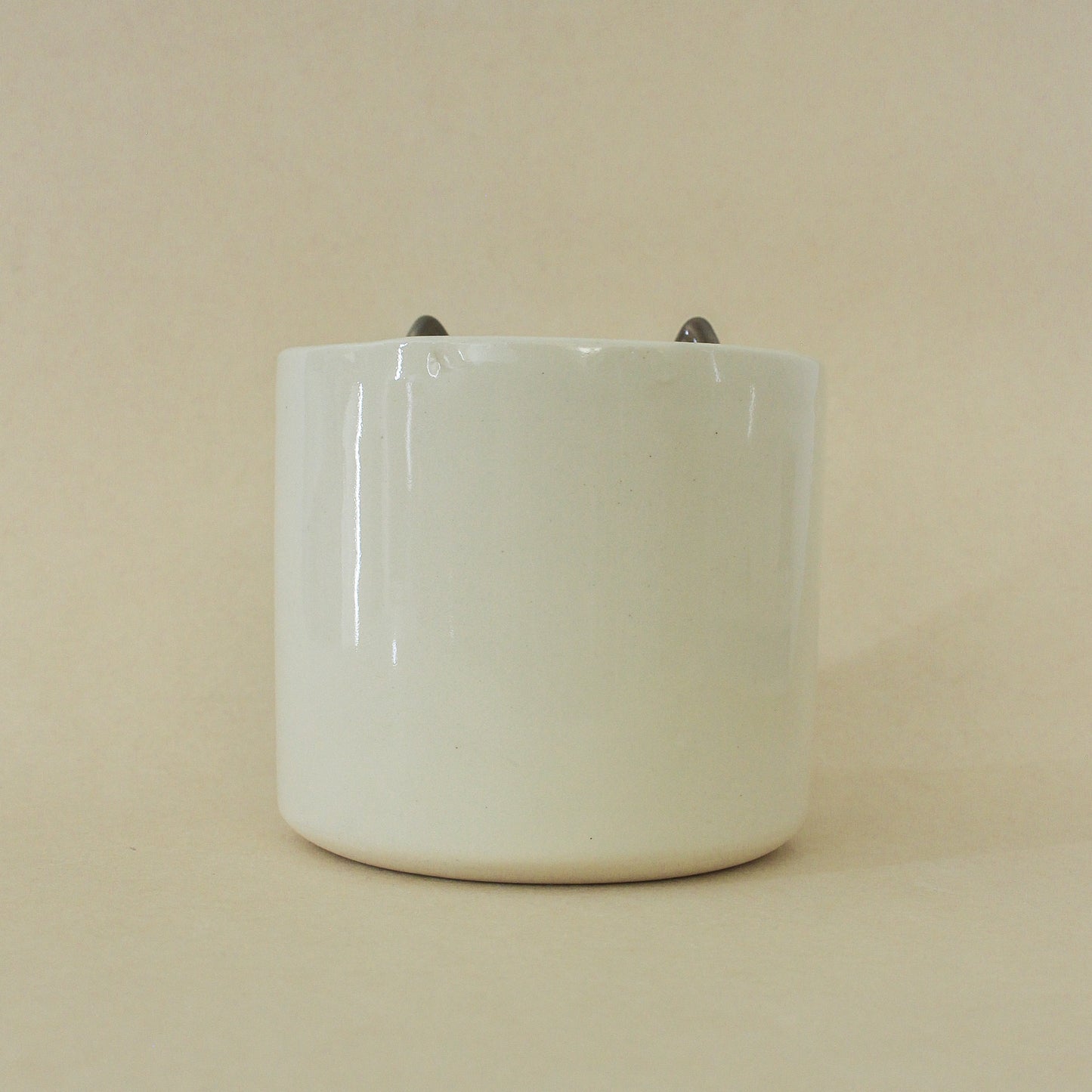 OLIVER - CAT PLANT POT