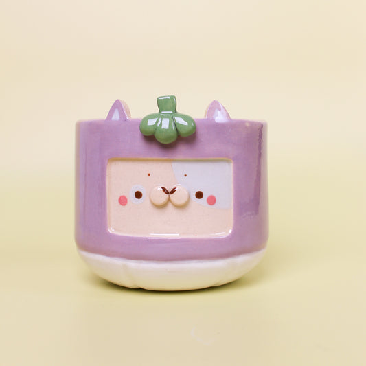 MANGOSTEEN CAT #3