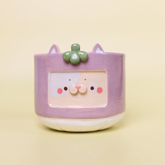 MANGOSTEEN CAT #4