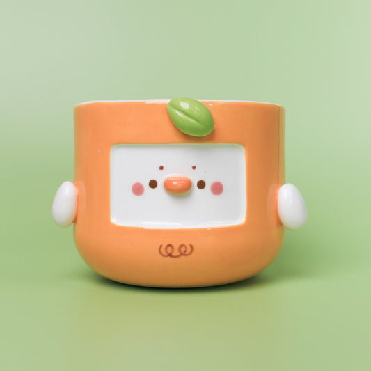 ORANGE DUCK PLANTER