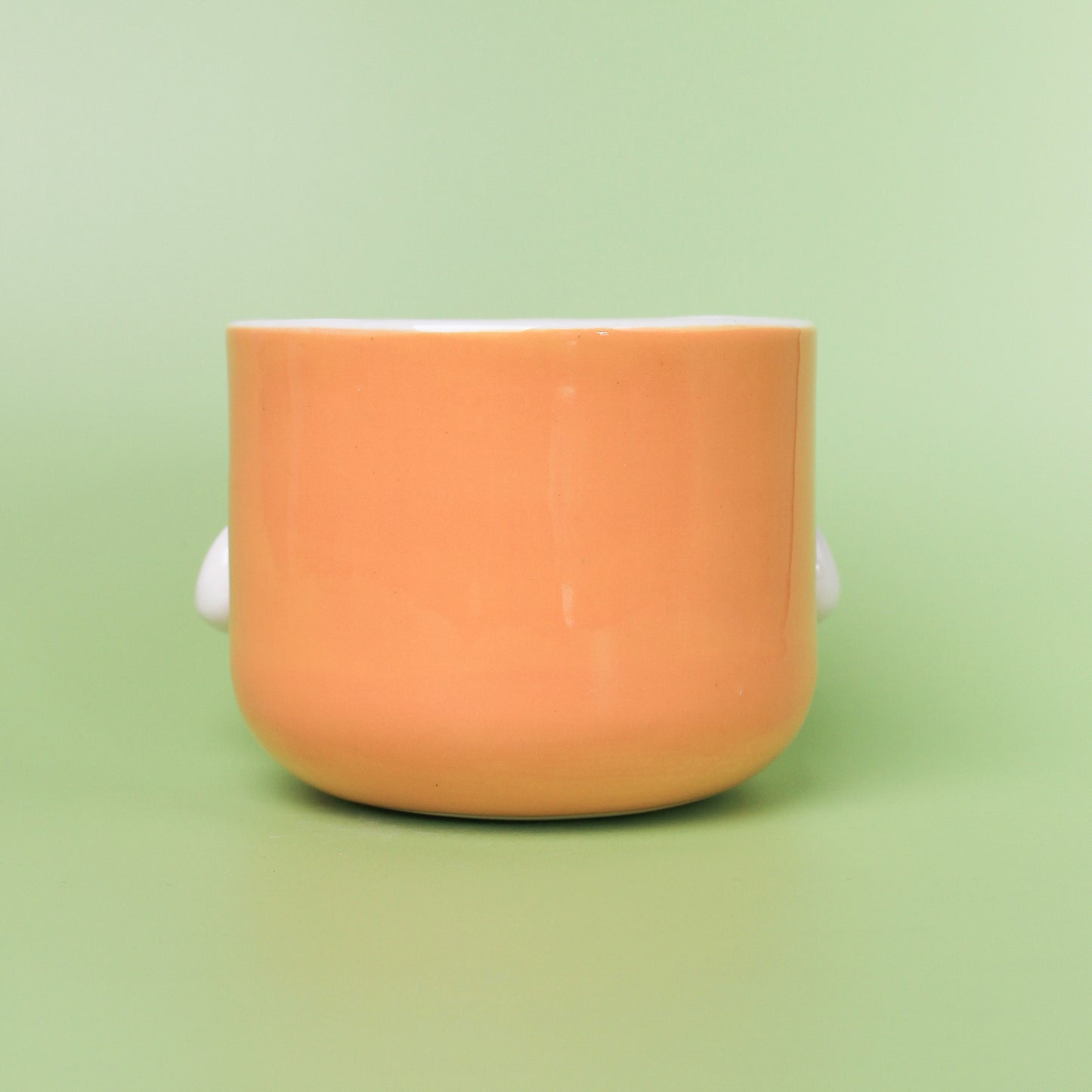 ORANGE DUCK PLANTER
