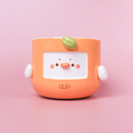 ORANGE DUCK PLANTER